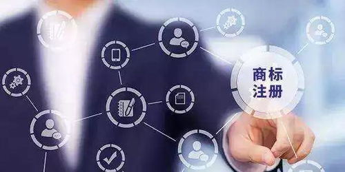 為什么軟件開發(fā)必須注冊(cè)商標(biāo)？——保護(hù)創(chuàng)新與市場(chǎng)的雙重盾牌